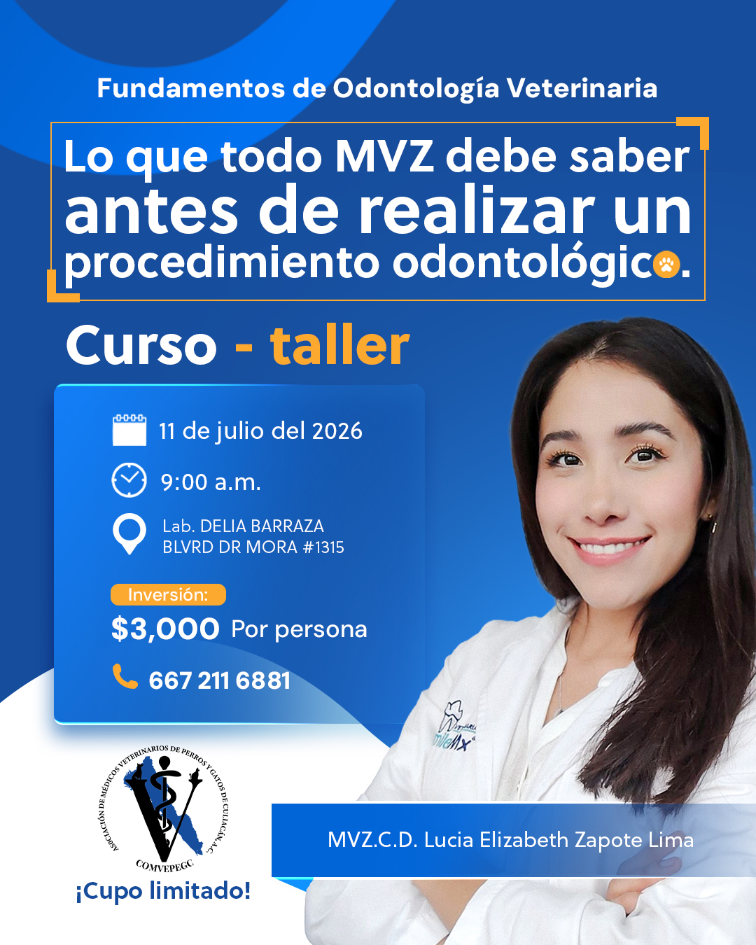 diseño