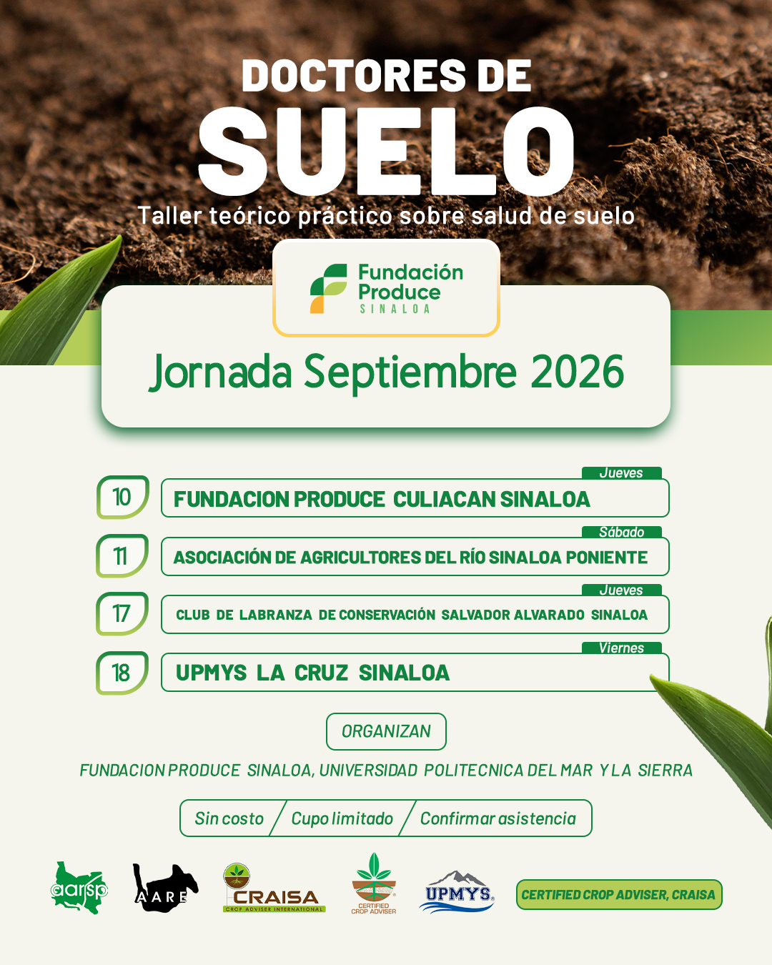 diseño